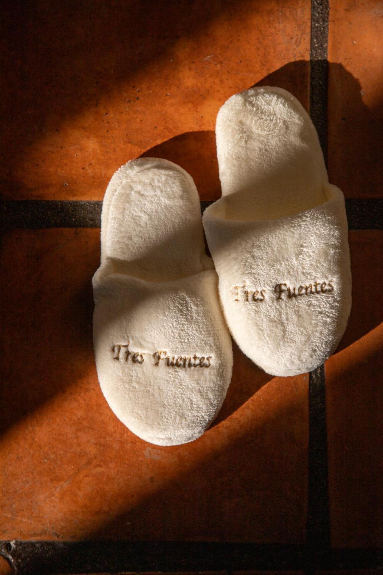 Tres Fuentes Dickinson Hotel Boutique Σαν Μιγκέλ ντε Αγιέντε Εξωτερικό φωτογραφία