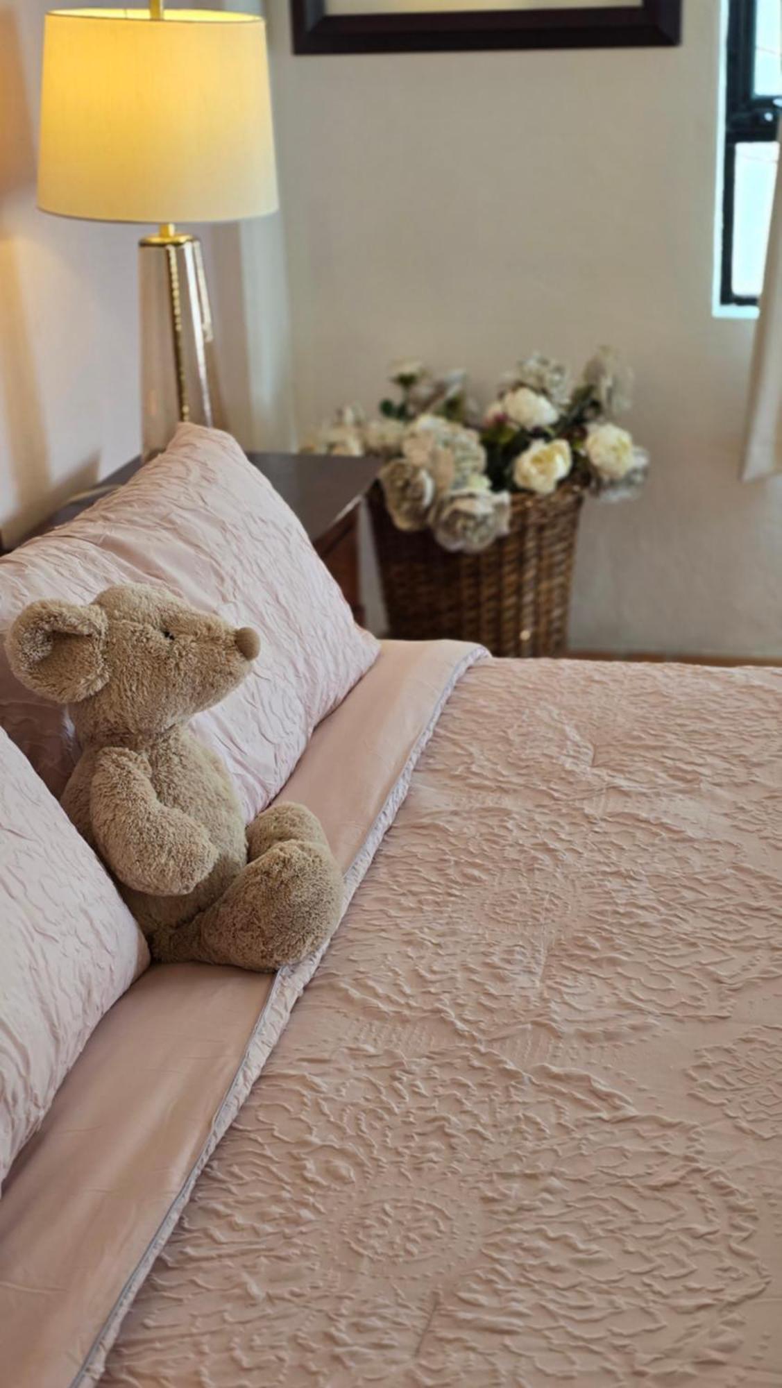 Tres Fuentes Dickinson Hotel Boutique Σαν Μιγκέλ ντε Αγιέντε Εξωτερικό φωτογραφία